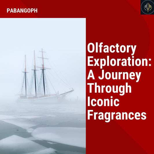 Olfactory Exploration: A Journey Through Iconic Fragrances