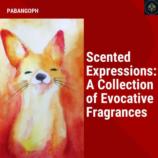 Scented Expressions: A Collection of Evocative Fragrances