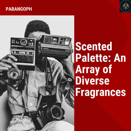 Scented Palette: An Array of Diverse Fragrances