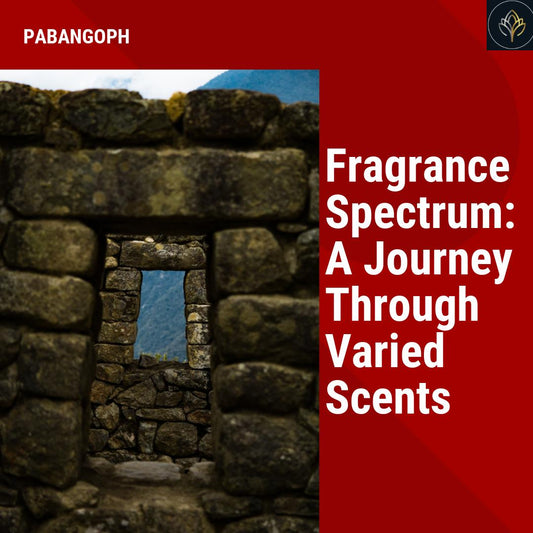 Fragrance Spectrum: A Journey Through Varied Scents