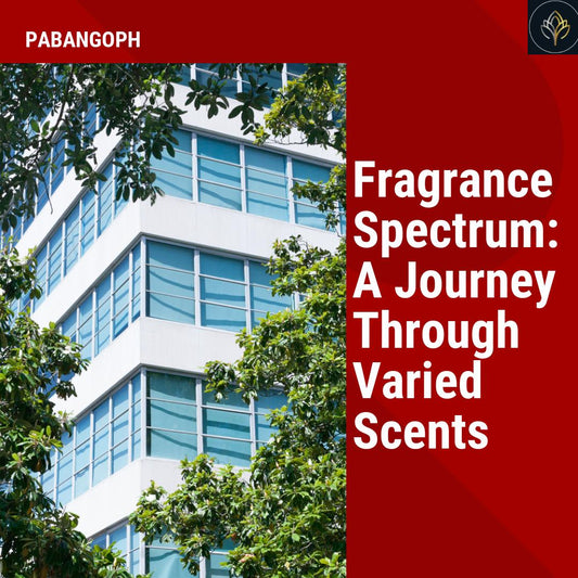 Fragrant Discoveries: A Collection of Bold and Distinctive Scents