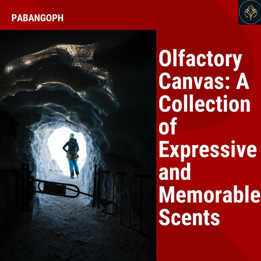 Olfactory Canvas: A Collection of Expressive and Memorable Scents