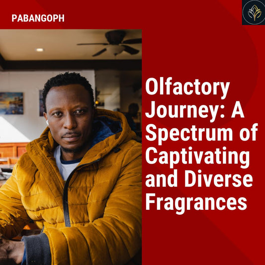 Olfactory Journey: A Spectrum of Captivating and Diverse Fragrances