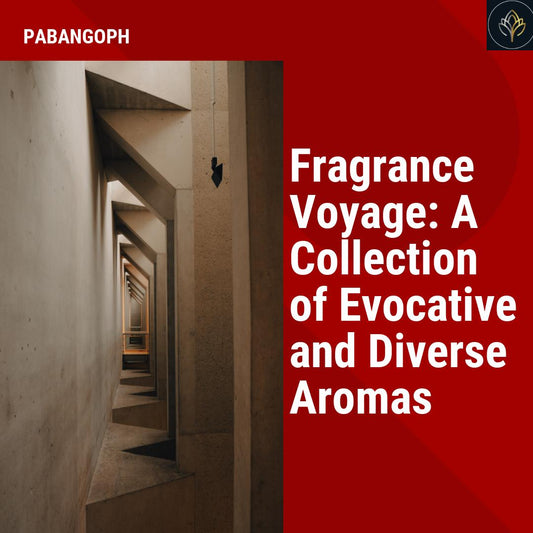 Fragrance Voyage: A Collection of Evocative and Diverse Aromas