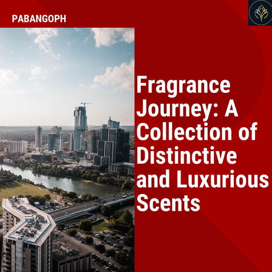 Fragrance Odyssey: A Collection of Iconic and Modern Scents