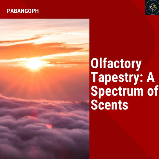 Olfactory Tapestry: A Spectrum of Scents
