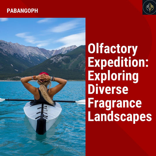 Olfactory Expedition: Exploring Diverse Fragrance Landscapes
