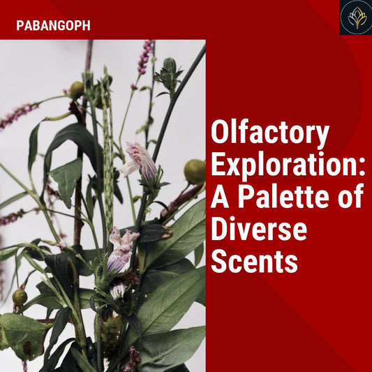 Olfactory Exploration: A Palette of Diverse Scents