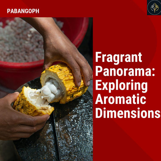 Fragrant Panorama: Exploring Aromatic Dimensions