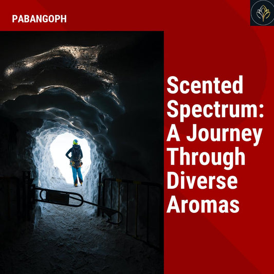 Scented Spectrum: A Journey Through Diverse Aromas