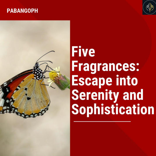 Five Fragrances: Escape into Serenity and Sophistication