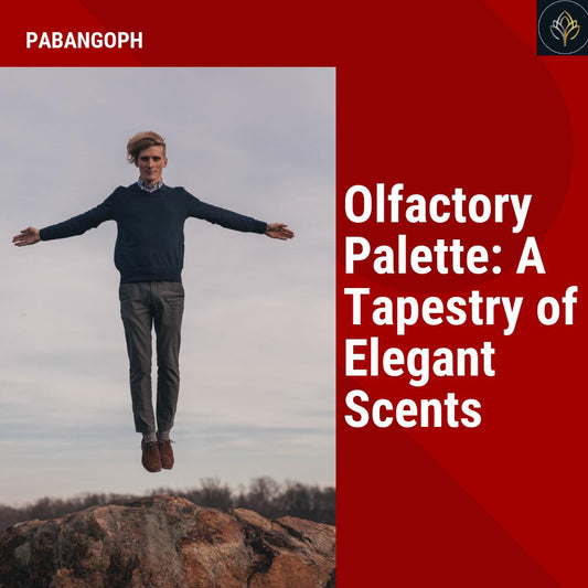 Olfactory Palette: A Tapestry of Elegant Scents
