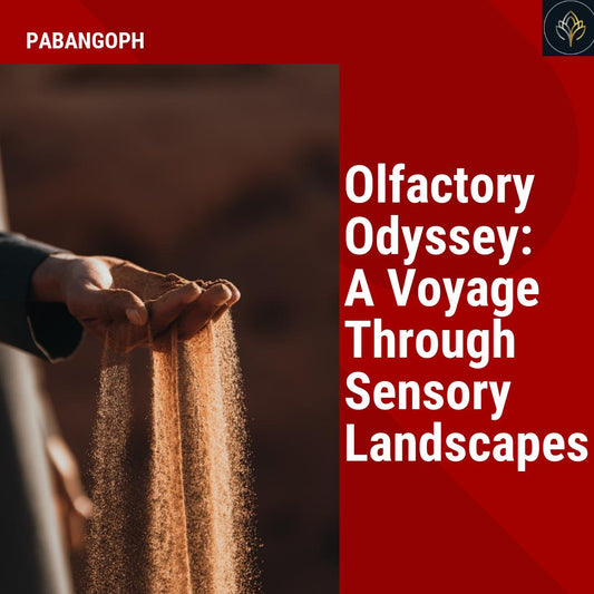 Olfactory Odyssey: A Voyage Through Sensory Landscapes