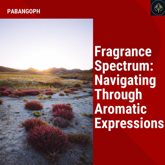 Fragrance Spectrum: Navigating Through Aromatic Expressions