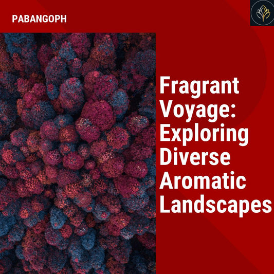 Fragrant Voyage: Exploring Diverse Aromatic Landscapes