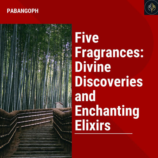 Five Fragrances: Divine Discoveries and Enchanting Elixirs