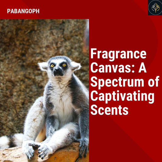 Fragrance Canvas: A Spectrum of Captivating Scents