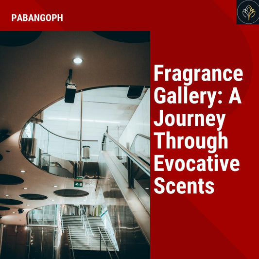 Fragrance Gallery: A Journey Through Evocative Scents