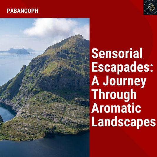 Sensorial Escapades: A Journey Through Aromatic Landscapes