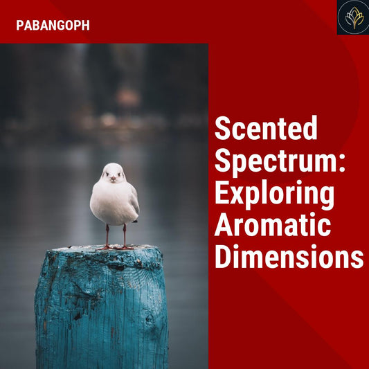 Scented Spectrum: Exploring Aromatic Dimensions