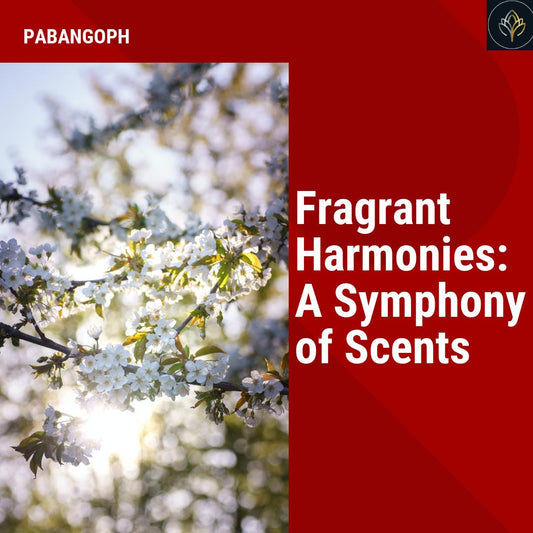 Fragrant Harmonies: A Symphony of Scents