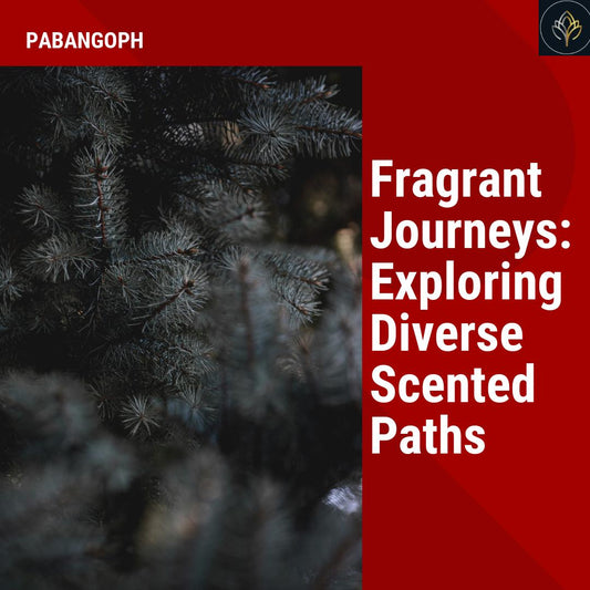 Fragrant Journeys: Exploring Diverse Scented Paths