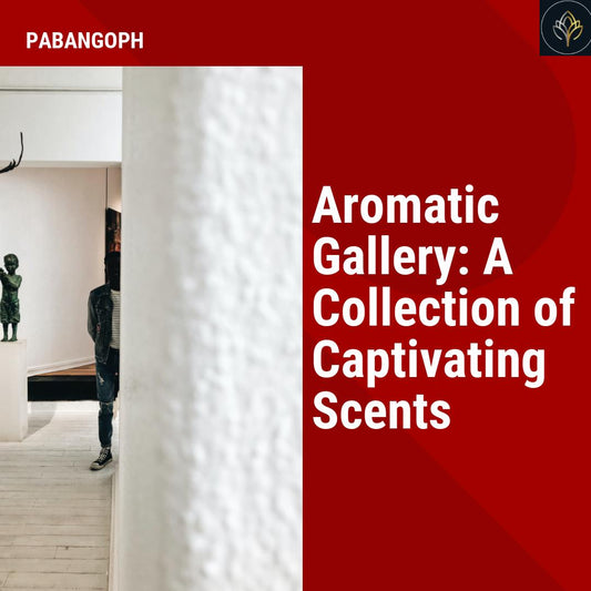 Aromatic Gallery: A Collection of Captivating Scents