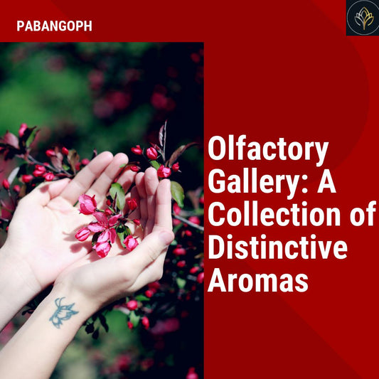 Olfactory Gallery: A Collection of Distinctive Aromas