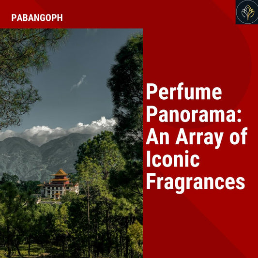 Perfume Panorama: An Array of Iconic Fragrances