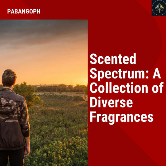 Scented Spectrum: A Collection of Diverse Fragrances