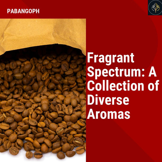 Fragrant Spectrum: A Collection of Diverse Aromas