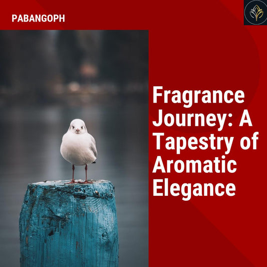 Fragrance Journey: A Tapestry of Aromatic Elegance