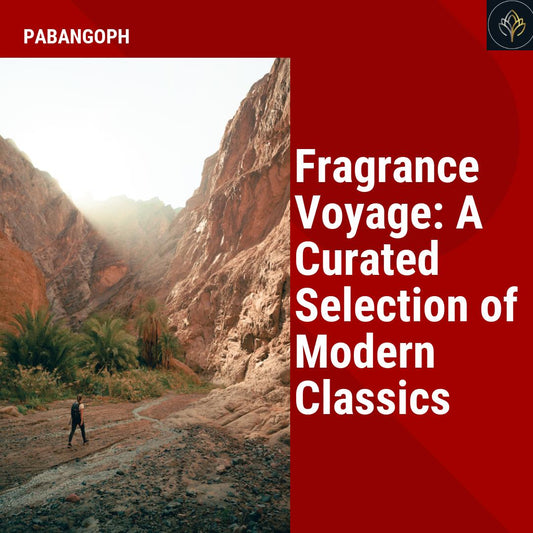 Fragrance Voyage: A Curated Selection of Modern Classics