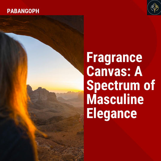 Fragrance Canvas: A Spectrum of Masculine Elegance