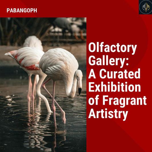 Olfactory Gallery: A Curated Exhibition of Fragrant Artistry