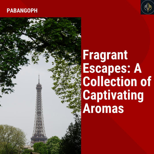 Fragrant Escapes: A Collection of Captivating Aromas