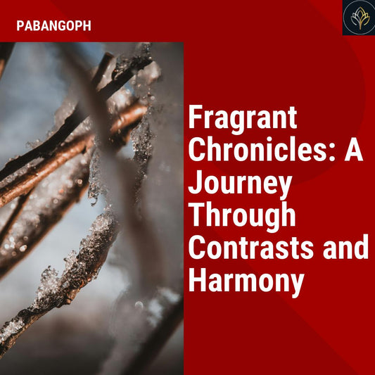 Fragrant Chronicles: A Journey Through Contrasts and Harmony