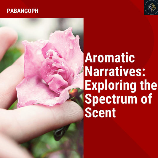 Aromatic Narratives: Exploring the Spectrum of Scent