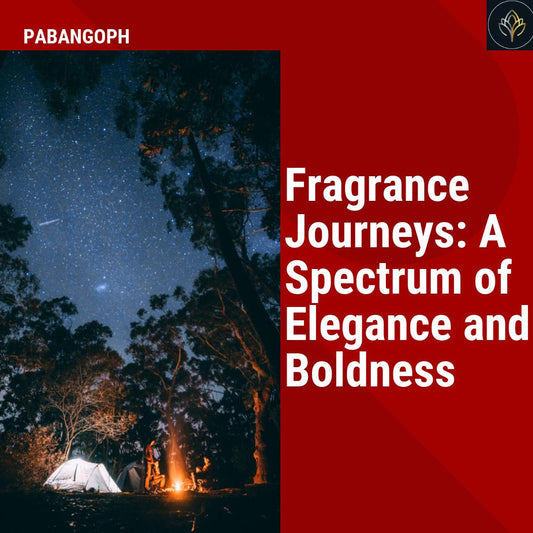 Fragrance Journeys: A Spectrum of Elegance and Boldness