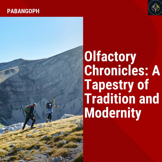 Olfactory Chronicles: A Tapestry of Tradition and Modernity