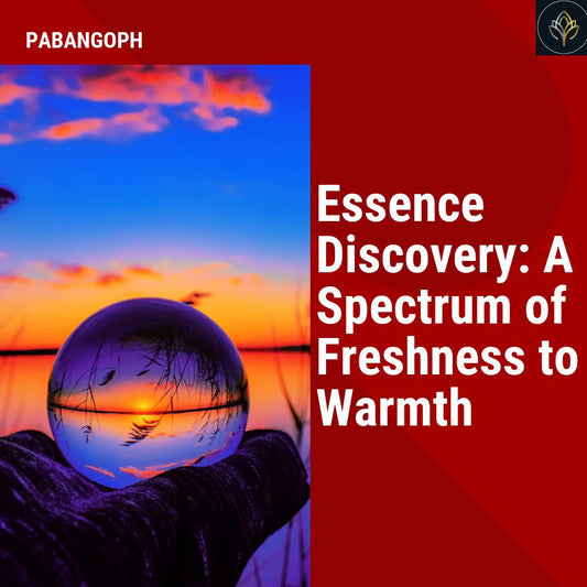 Essence Discovery: A Spectrum of Freshness to Warmth