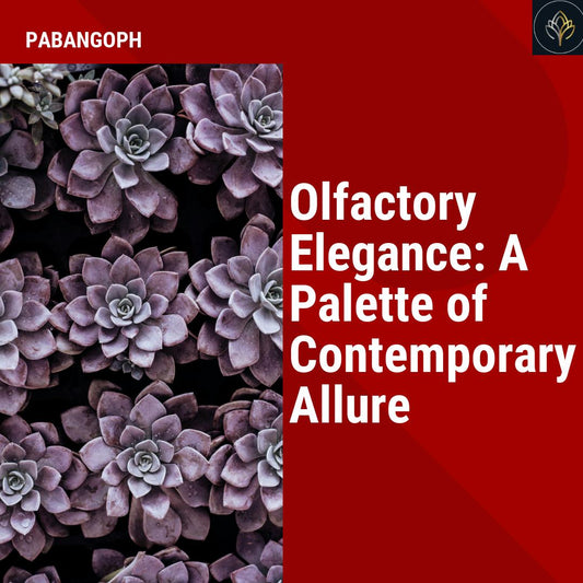 Olfactory Elegance: A Palette of Contemporary Allure