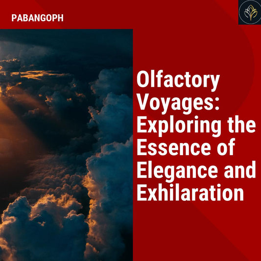 Olfactory Voyages: Exploring the Essence of Elegance and Exhilaration