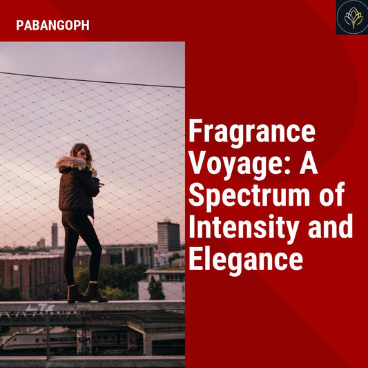 Fragrance Voyage: A Spectrum of Intensity and Elegance