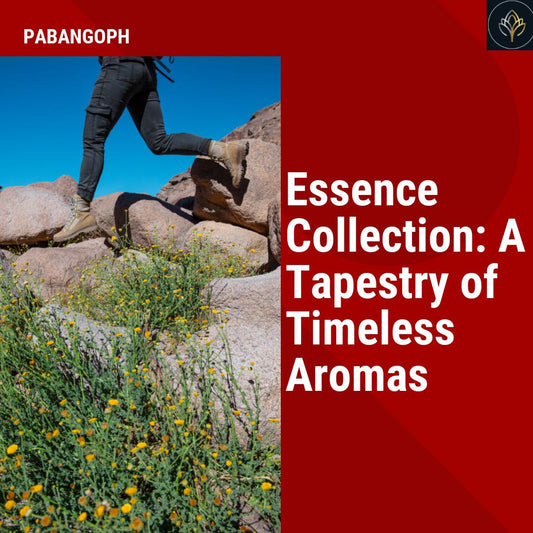 Essence Collection: A Tapestry of Timeless Aromas