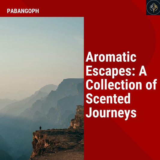 Aromatic Escapes: A Collection of Scented Journeys