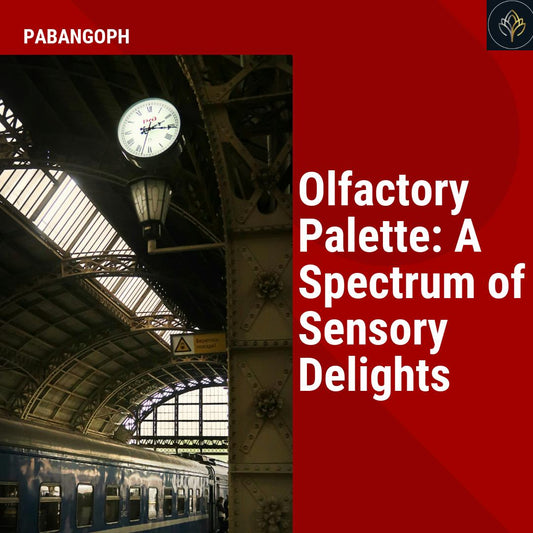 Olfactory Palette: A Spectrum of Sensory Delights