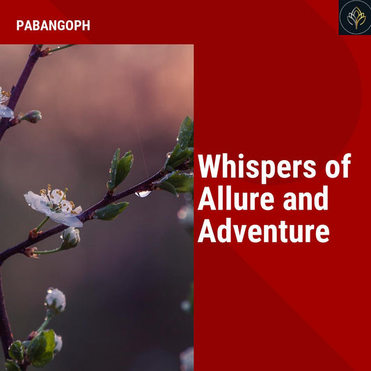 Whispers of Allure and Adventure