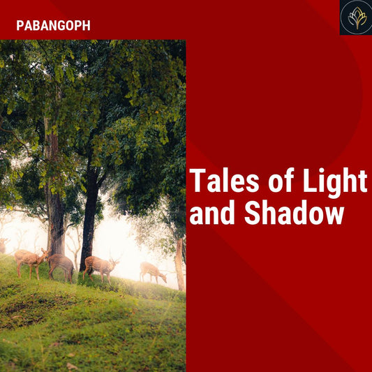 Tales of Light and Shadow