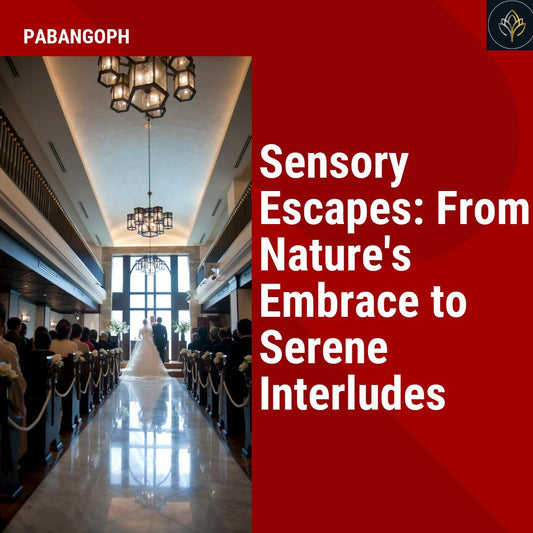 Sensory Escapes: From Nature's Embrace to Serene Interludes